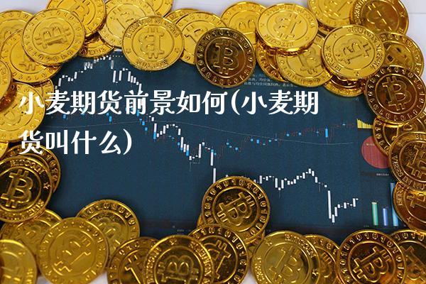 小麦期货前景如何(小麦期货叫什么)