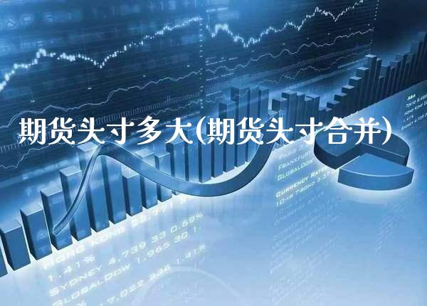期货头寸多大(期货头寸合并)_https://www.boyangwujin.com_期货直播间_第1张
