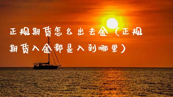 正规期货怎么出去金（正规期货入金都是入到哪里）_https://www.boyangwujin.com_期货直播间_第1张