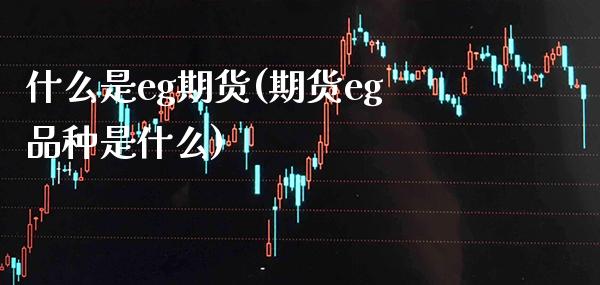 什么是eg期货(期货eg品种是什么)