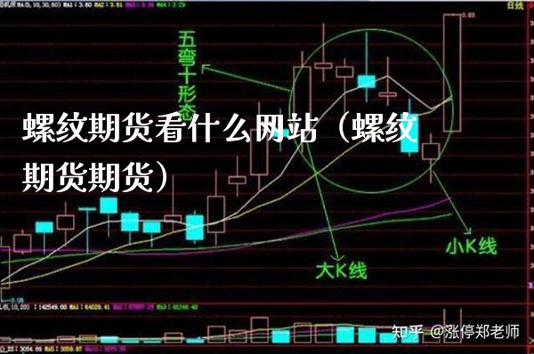 螺纹期货看什么网站（螺纹期货期货）