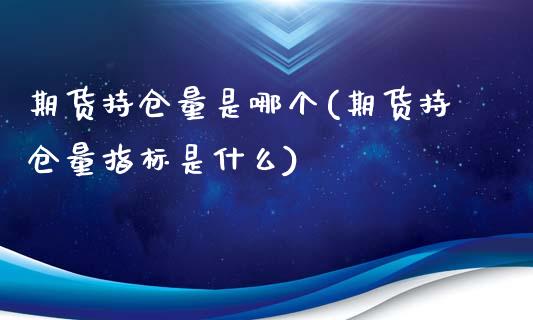 期货持仓量是哪个(期货持仓量指标是什么)_https://www.boyangwujin.com_期货开户_第1张