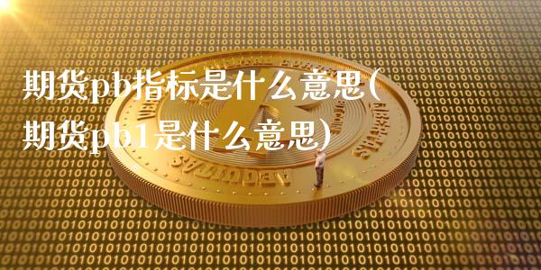 期货pb指标是什么意思(期货pb1是什么意思)_https://www.boyangwujin.com_道指期货_第1张