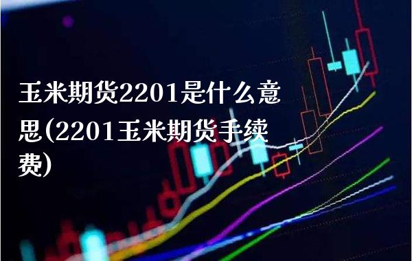 玉米期货2201是什么意思(2201玉米期货手续费)