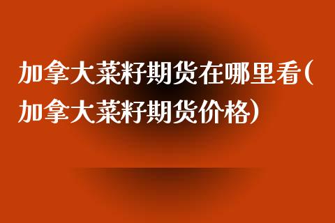 加拿大菜籽期货在哪里看(加拿大菜籽期货价格)_https://www.boyangwujin.com_期货直播间_第1张