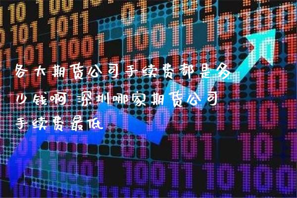 各大期货公司手续费都是多少钱啊 深圳哪家期货公司手续费最低_https://www.boyangwujin.com_期货直播间_第1张