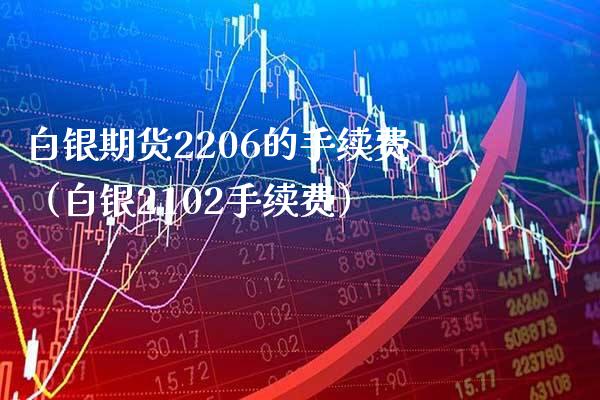 白银期货2206的手续费（白银2102手续费）_https://www.boyangwujin.com_期货直播间_第1张