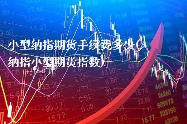 小型纳指期货手续费多少(纳指小型期货指数)