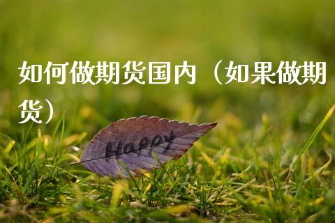 如何做期货国内（如果做期货）_https://www.boyangwujin.com_期货直播间_第1张