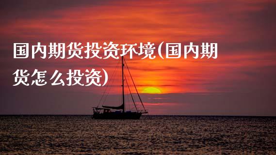 国内期货投资环境(国内期货怎么投资)_https://www.boyangwujin.com_原油直播间_第1张