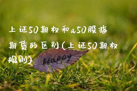 上证50期权和a50股指期货的区别(上证50期权规则)_https://www.boyangwujin.com_期货直播间_第1张