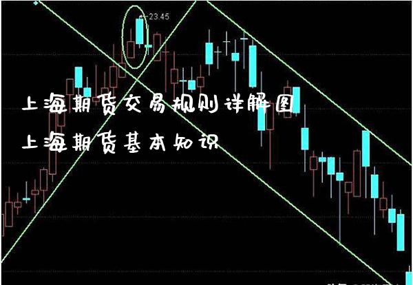 上海期货交易规则详解图 上海期货基本知识_https://www.boyangwujin.com_期货直播间_第1张