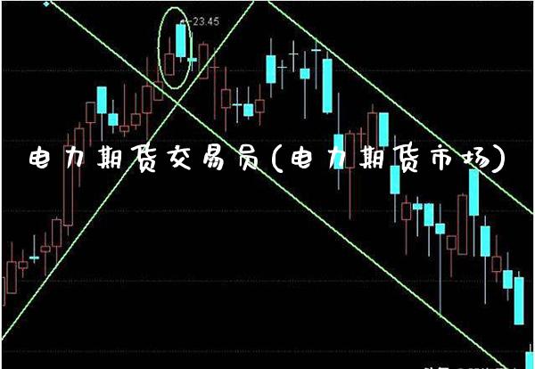 电力期货交易员(电力期货市场)