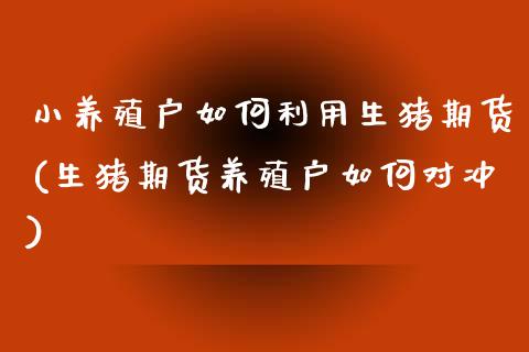 小养殖户如何利用生猪期货(生猪期货养殖户如何对冲)