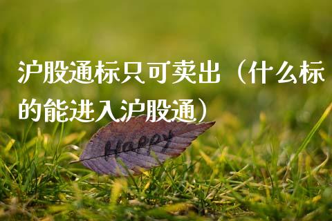 沪股通标只可卖出（什么标的能进入沪股通）_https://www.boyangwujin.com_原油期货_第1张