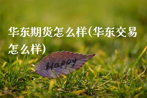 华东期货怎么样(华东交易怎么样)