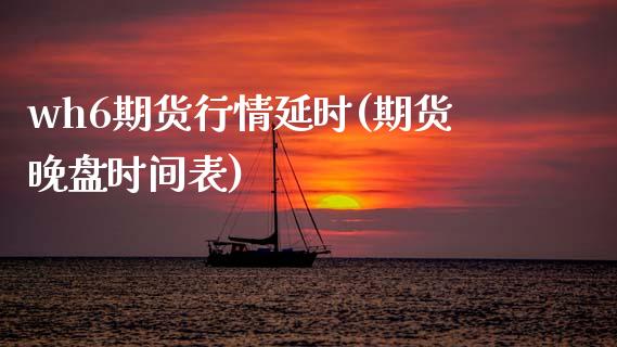 wh6期货行情延时(期货晚盘时间表)