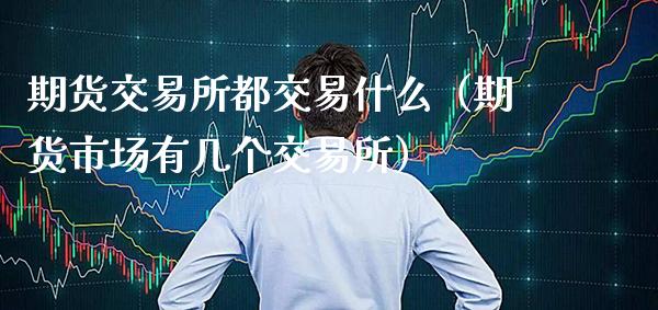 期货交易所都交易什么（期货市场有几个交易所）