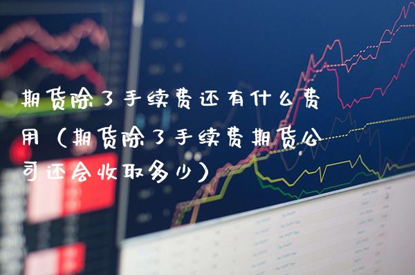 期货除了手续费还有什么费用（期货除了手续费期货公司还会收取多少）_https://www.boyangwujin.com_期货直播间_第1张