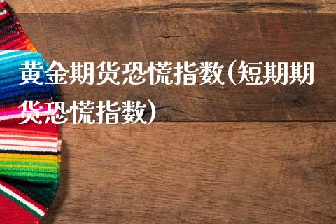 黄金期货恐慌指数(短期期货恐慌指数)