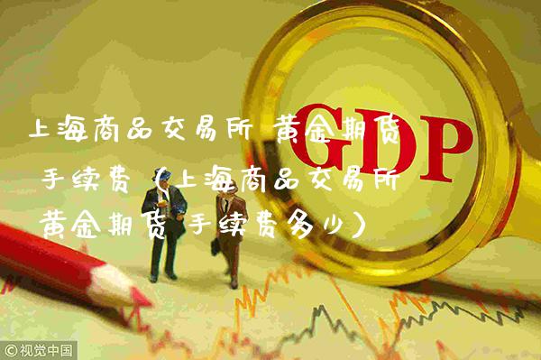 上海商品交易所 黄金期货 手续费（上海商品交易所 黄金期货 手续费多少）_https://www.boyangwujin.com_原油期货_第1张