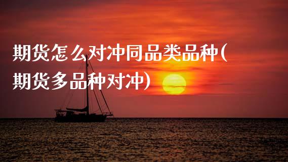 期货怎么对冲同品类品种(期货多品种对冲)_https://www.boyangwujin.com_期货直播间_第1张