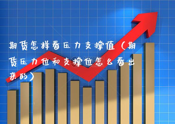 期货怎样看压力支撑值（期货压力位和支撑位怎么看出来的）_https://www.boyangwujin.com_道指期货_第1张