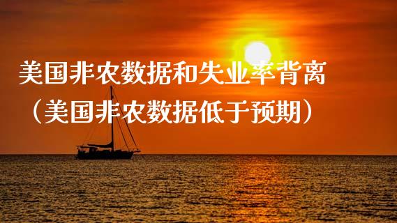 美国非农数据和失业率背离（美国非农数据低于预期）_https://www.boyangwujin.com_道指期货_第1张