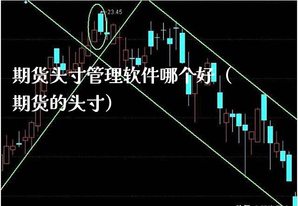 期货头寸管理软件哪个好（期货的头寸）_https://www.boyangwujin.com_期货直播间_第1张