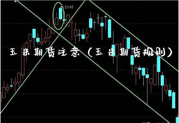 玉米期货注意（玉米期货规则）
