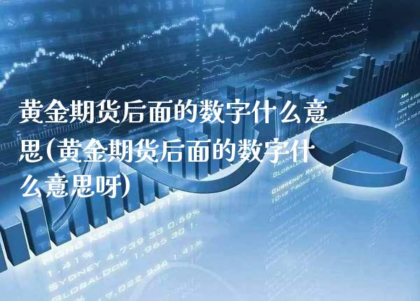 黄金期货后面的数字什么意思(黄金期货后面的数字什么意思呀)_https://www.boyangwujin.com_期货直播间_第1张