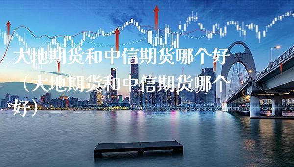 大地期货和中信期货哪个好（大地期货和中信期货哪个好）_https://www.boyangwujin.com_期货直播间_第1张
