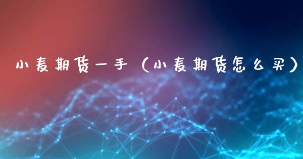 小麦期货一手（小麦期货怎么买）