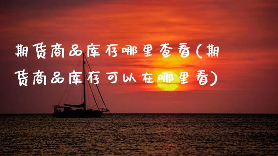 期货商品库存哪里查看(期货商品库存可以在哪里看)_https://www.boyangwujin.com_期货科普_第1张