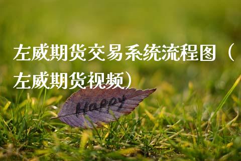 左威期货交易系统流程图（左威期货视频）_https://www.boyangwujin.com_期货直播间_第1张