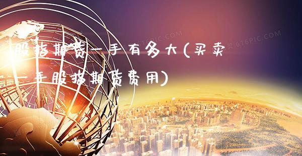 股指期货一手有多大(买卖一手股指期货费用)_https://www.boyangwujin.com_内盘期货_第1张
