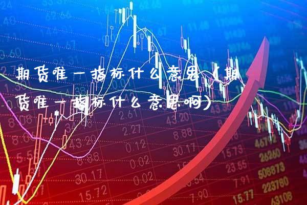 期货唯一指标什么意思（期货唯一指标什么意思啊）_https://www.boyangwujin.com_期货直播间_第1张