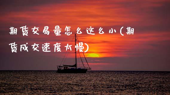 期货交易量怎么这么小(期货成交速度太慢)_https://www.boyangwujin.com_恒指期货_第1张