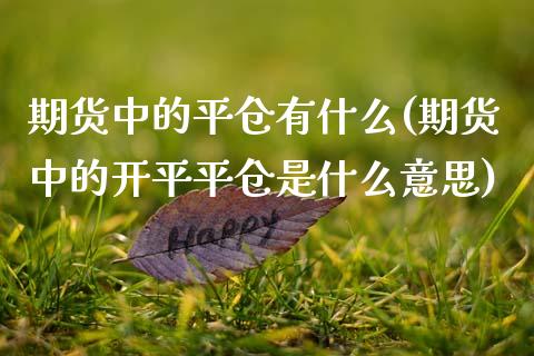 期货中的平仓有什么(期货中的开平平仓是什么意思)_https://www.boyangwujin.com_期货直播间_第1张