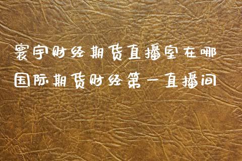 寰宇财经期货直播室在哪 国际期货财经第一直播间